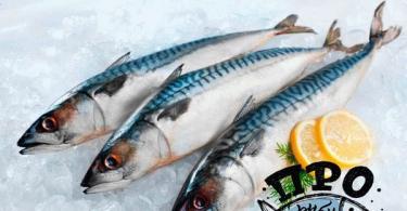 Grilled mackerel, recipe