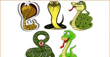 Snake in the mythology of different times and peoples Alternative questions in crossword puzzles for the word hydra