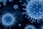 Rotavirusna infekcija kod djece i odraslih: kako liječiti, dijeta