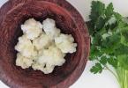 Kefir fungus how to use the benefits and harms