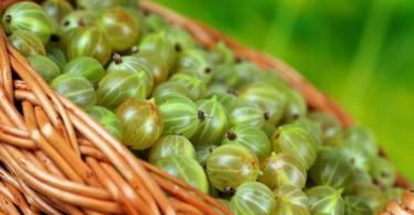 Gooseberry confiture - a step-by-step photo recipe for cooking for the winter at home