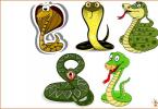 งูในตำนานแห่งยุคสมัยและคำถามทางเลือกของผู้คนในปริศนาอักษรไขว้สำหรับคำว่าไฮดรา