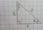 วิธีหาพื้นที่ของรูปสามเหลี่ยม