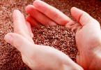 The benefits of flax seeds for the body, and the harm from its use