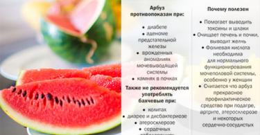 Koliko kalorija, ugljikohidrata, proteina, šećera ima u lubenici?